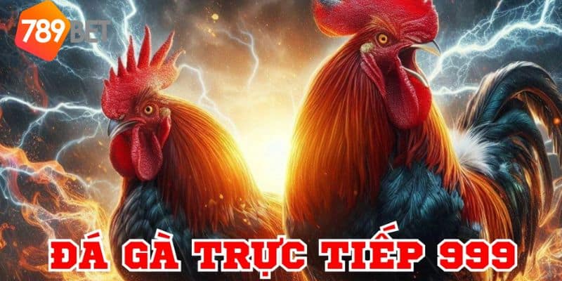 trực tiếp đá gà bình luận